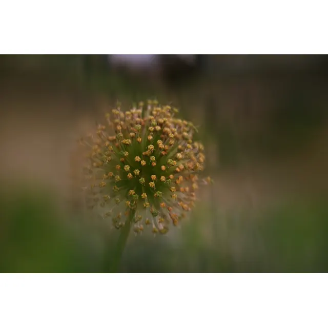 Krajobraz – zdjęcie